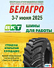 35-я Международная специализированная выставка "БЕЛАГРО-2025" пройдет с 3 по 7 июня в Минске